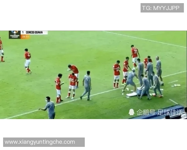 广州排球队总决赛战术分析与表现评估全面解读