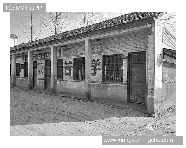 张强的乒乓球之路：从青涩少年到世界冠军的心路历程