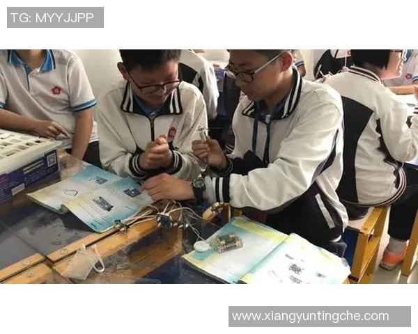 杭州排球队转型纪实：从传统到现代的奋斗与蜕变之路