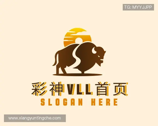 解读彩神vll